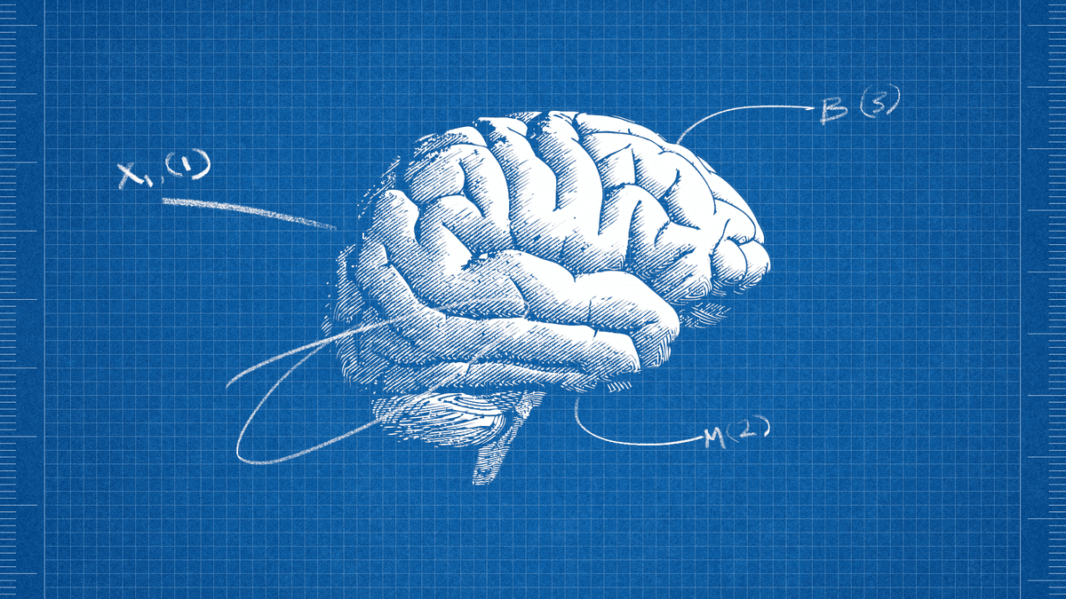 A brain as a blueprint